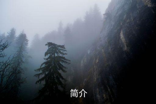 简介