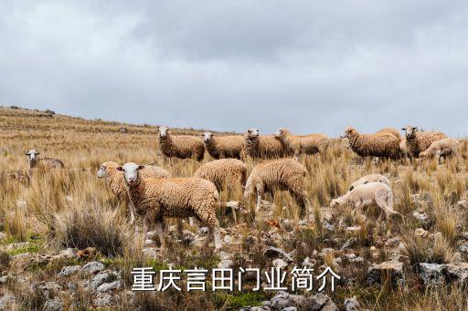 重庆言田门业简介