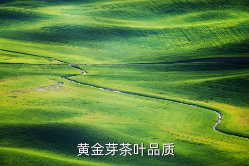 黄金芽茶叶品质