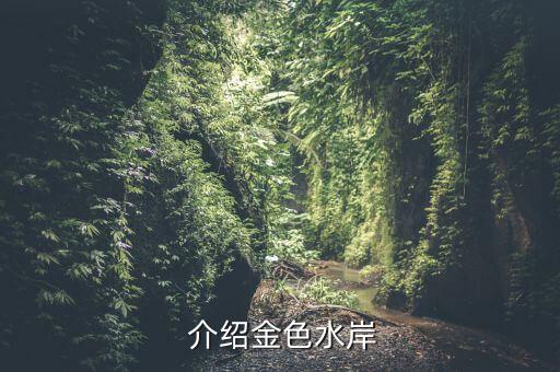 介绍金色水岸