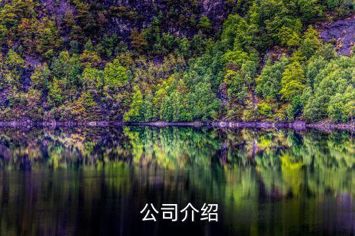 公司介绍