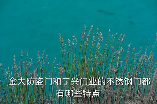 金大防盗门和宁兴门业的不锈钢门都有哪些特点