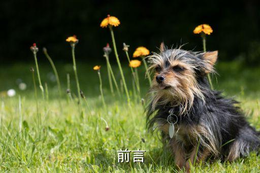 前言