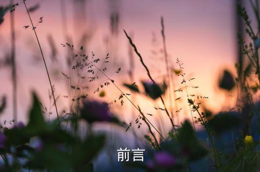 前言