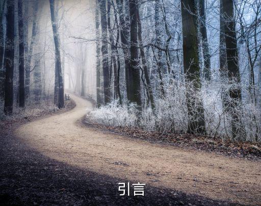 引言
