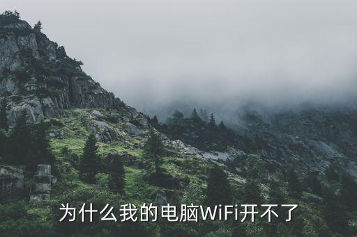 为什么电脑无线打不开怎么回事啊，为什么我的电脑WiFi开不了