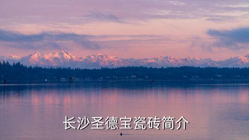 长沙圣德宝瓷砖简介