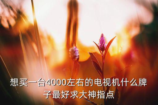 想买一台4000左右的电视机什么牌子最好求大神指点