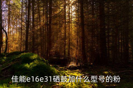 佳能e16e31硒鼓加什么型号的粉