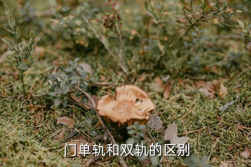 门单轨和双轨的区别