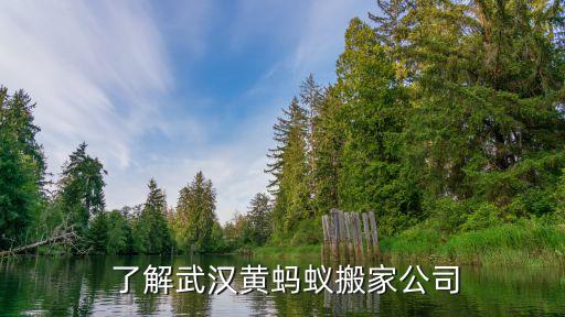 了解武汉黄蚂蚁搬家公司