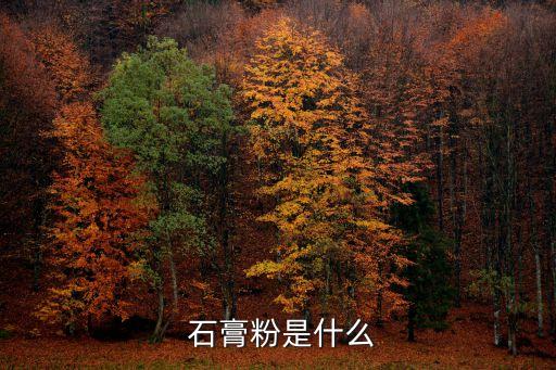 石膏粉是什么