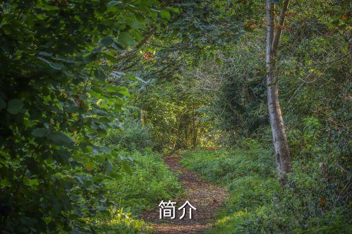 简介