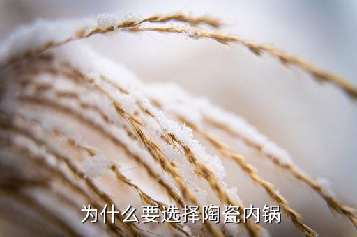 为什么要选择陶瓷内锅