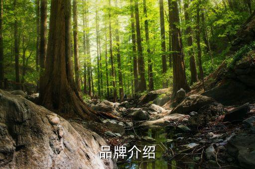 品牌介绍