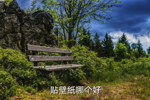 贴壁纸哪个好