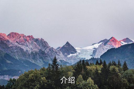 介绍