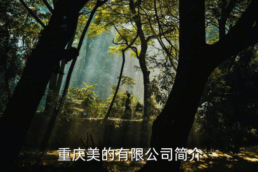 重庆美的有限公司简介