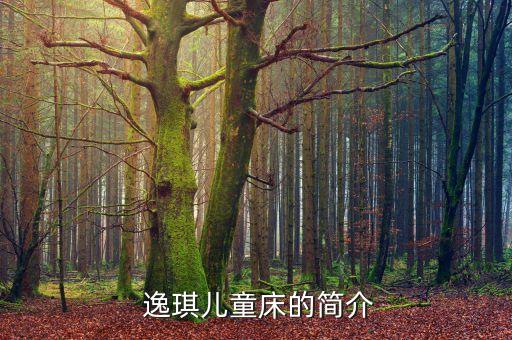 逸琪儿童床的简介