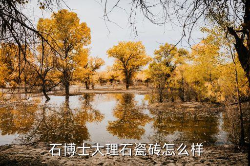 石博士大理石瓷砖怎么样