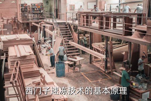 西门子速冻技术的基本原理