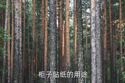 柜子贴纸的用途