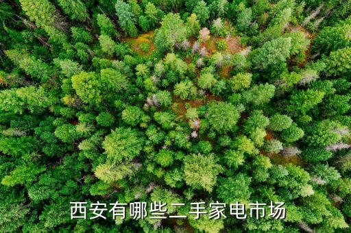 西安有哪些二手家电市场