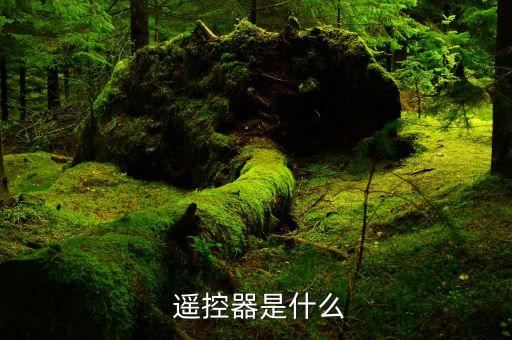 遥控器是什么