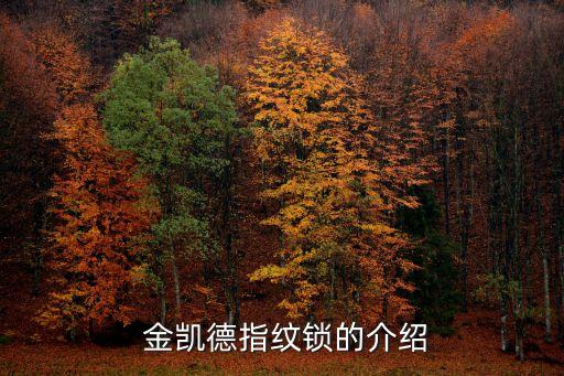 金凯德指纹锁的介绍