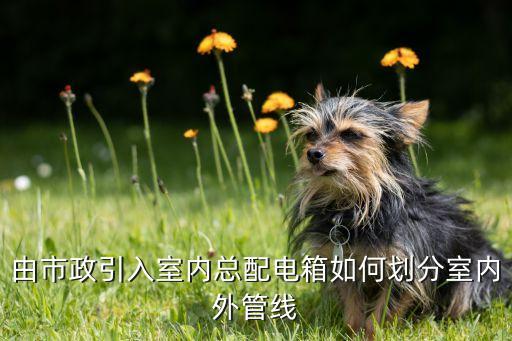 室外管网是什么意思，给水排水管室外室内定义
