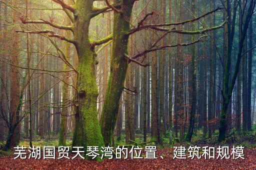 芜湖国贸天琴湾的位置、建筑和规模