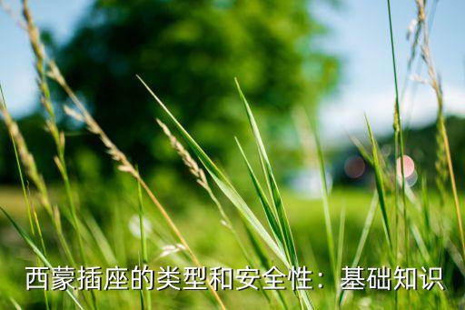 西蒙插座的类型和安全性:基础知识