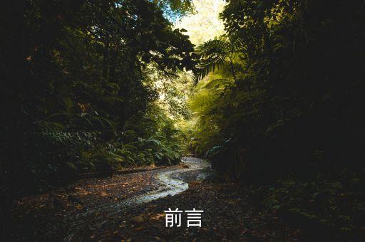 前言