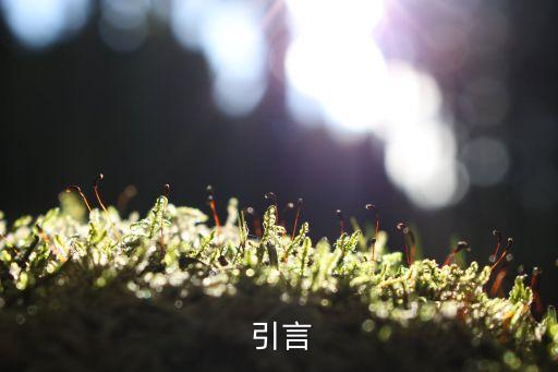 引言