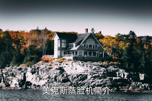 美克斯蒸脸机简介