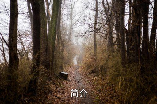 简介