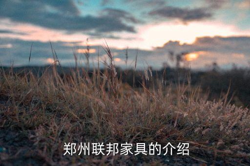 郑州联邦家具的介绍