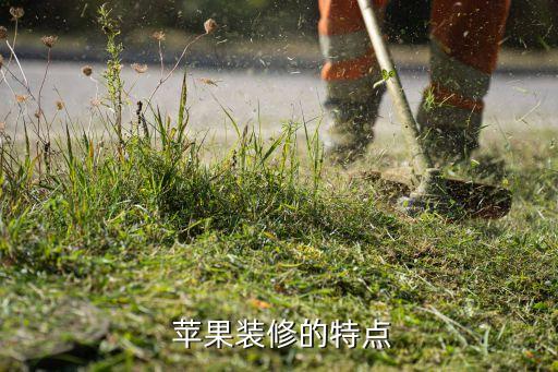 苹果装修的特点