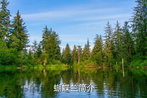蝴蝶兰简介