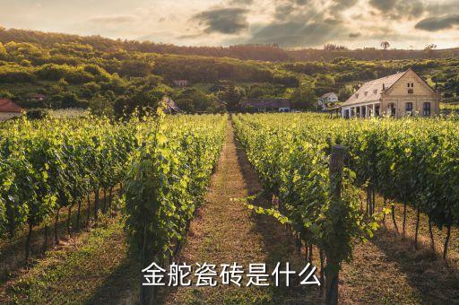 金舵瓷砖是什么