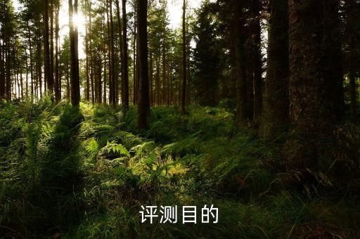 评测目的