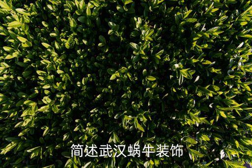 简述武汉蜗牛装饰