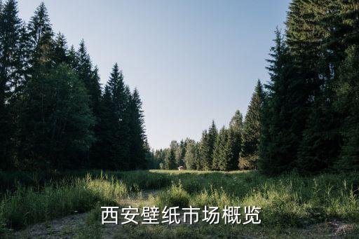 西安壁纸市场概览