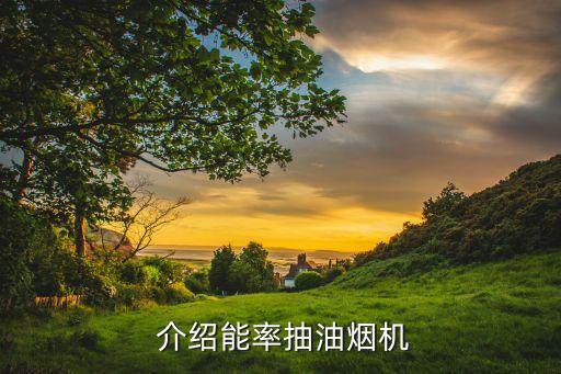 介绍能率抽油烟机