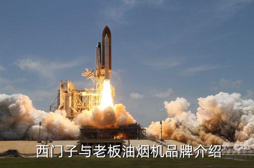 西门子与老板油烟机品牌介绍