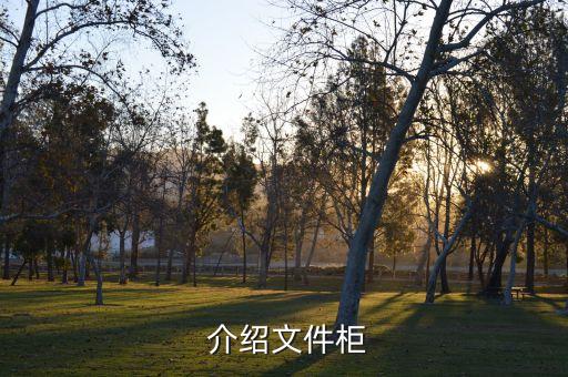 介绍文件柜