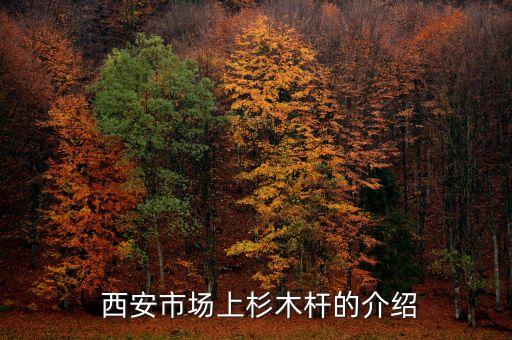 西安市场上杉木杆的介绍