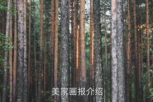 美家画报介绍