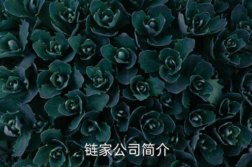 链家公司简介