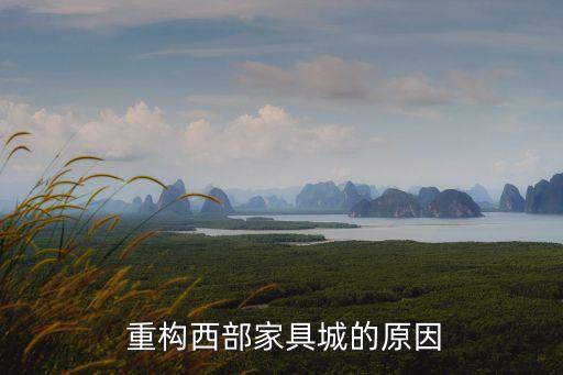 重构西部家具城的原因